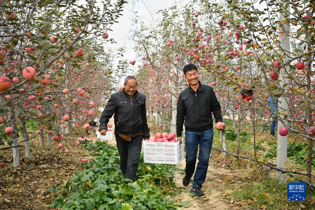 奔赴充满光荣和梦想的远征——以习近平同志为核心的党中央引领亿万人民踏上新征程述评(图3)