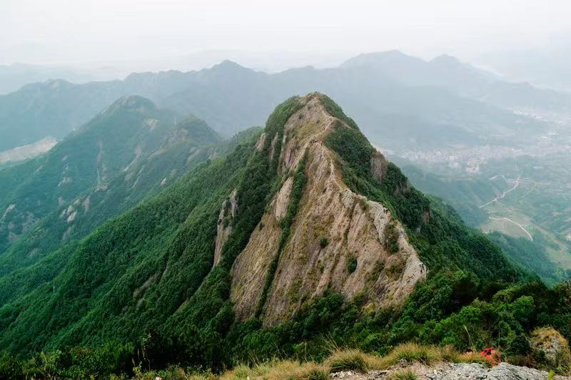 寻找隐在隐龙山中的美茶姑 