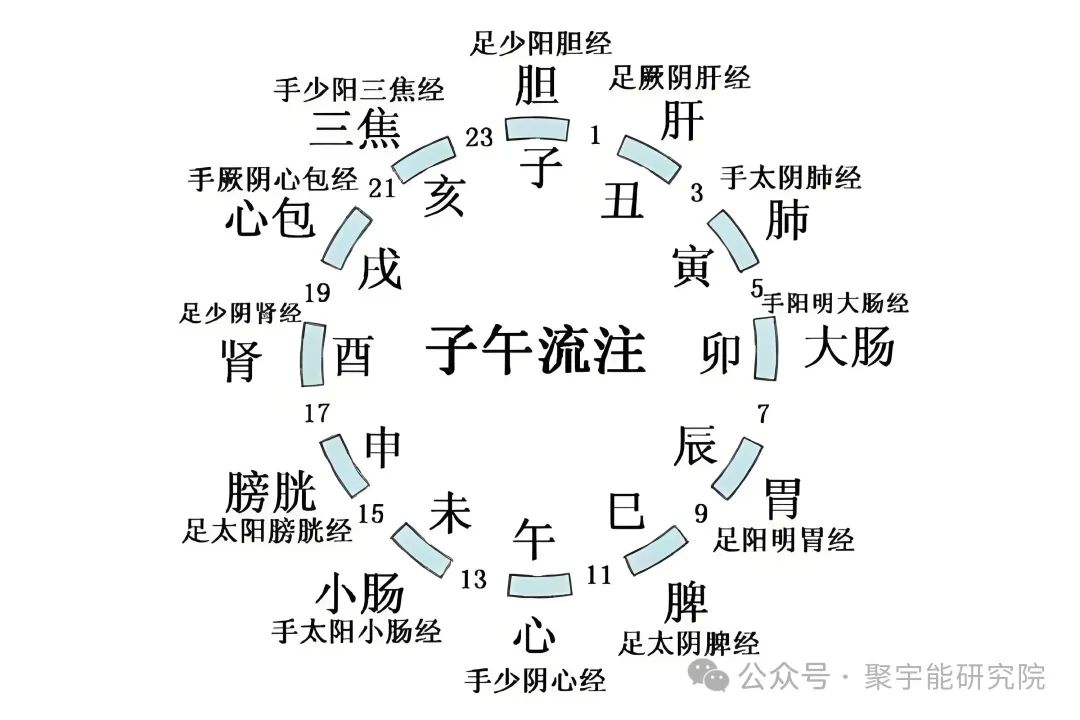 金日光教授：【《黄帝内经》为何是中医大学科最上等的医典？•八十】为什么《内经》的五行相克关系与十二正经的流注顺序不大一致？ 聚宇能研究院(图2)