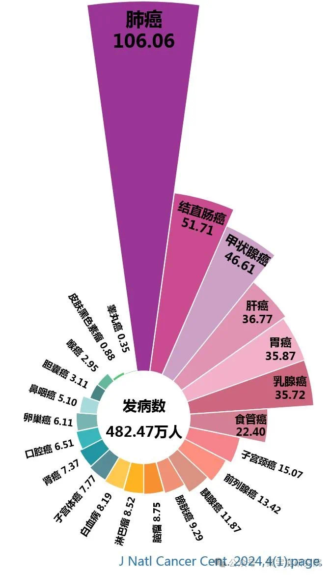 微信图片_202412311659072.jpg