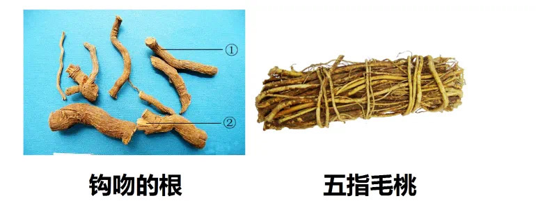 微信图片_20250106220743.jpg