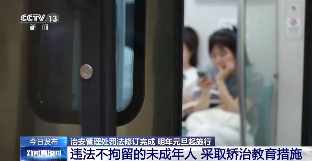 宠物伤人、未成年人违法等行为如何处罚？新修订的治安管理处罚法来了(图3)