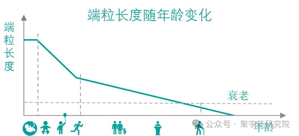 永不忘当年钱老劝导我们“用当代科学传承《黄帝内经》医理和建立《中药本草》科学药理标准”的教导 •六十一(图3)