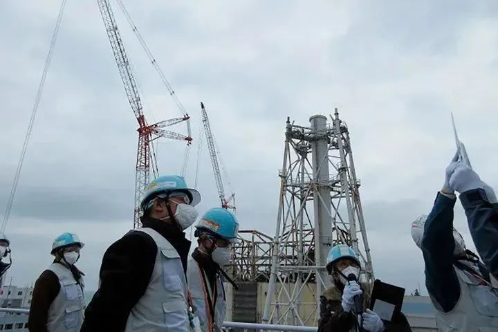 日本多地检出！“或已扩散至全国”