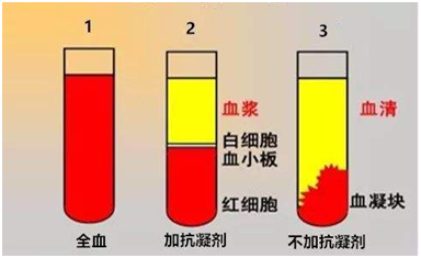 新篇|金日光教授:(四)如何看待当前的医理和药理?(图3) 2a.png