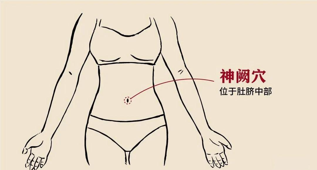 金日光教授:神阙穴有没有返老还童的功能?(图1) 金日光教授:神阙穴有没有返老还童的功能?(图1)