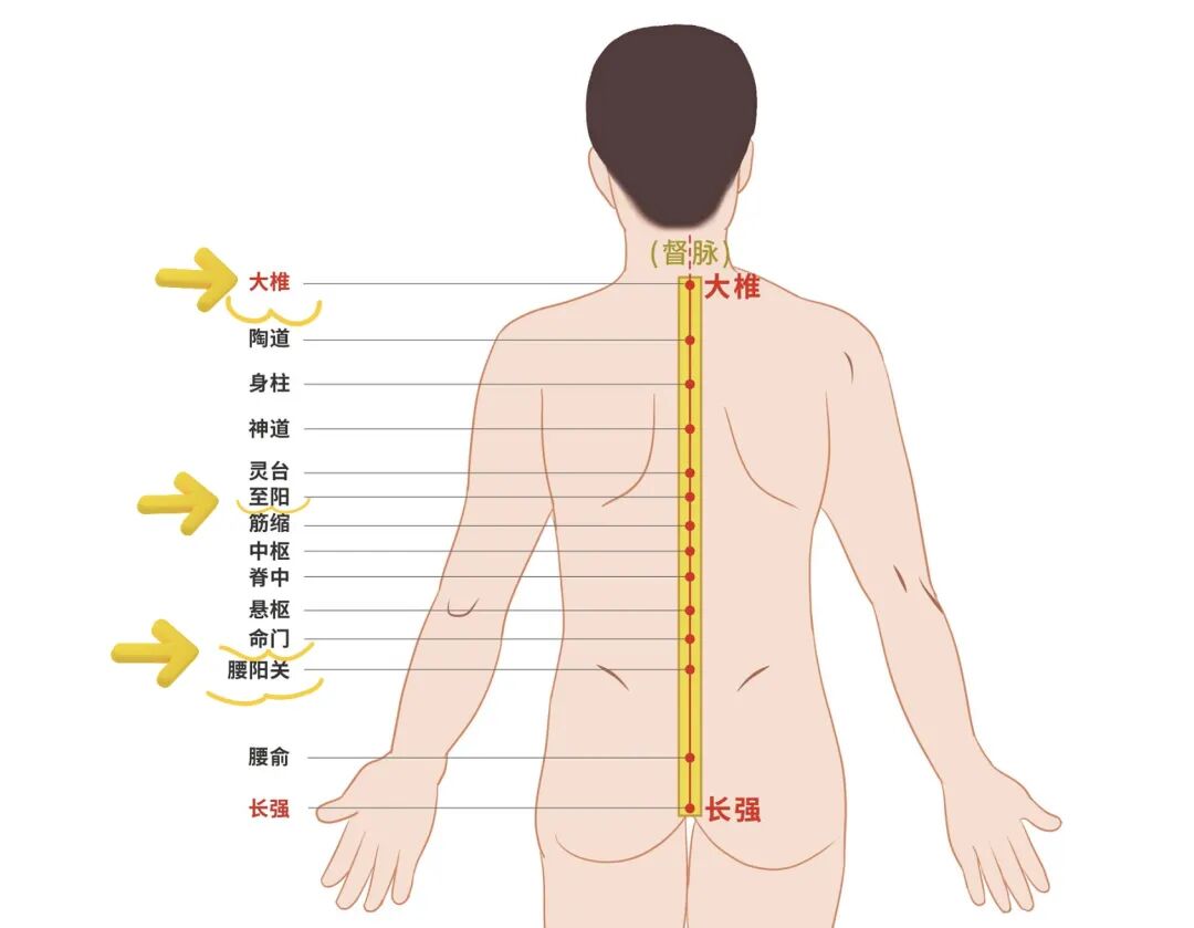 金日光教授:(十三)如何看待当前的医理和药理?(图5) 金日光教授:(十三)如何看待当前的医理和药理?(图5)