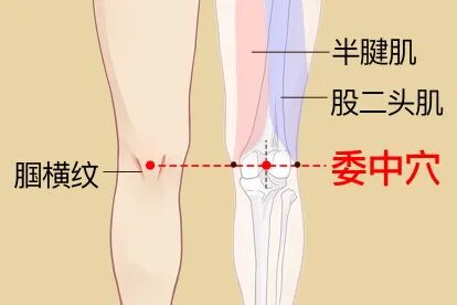 金日光教授:(十三)如何看待当前的医理和药理?(图21) 金日光教授:(十三)如何看待当前的医理和药理?(图21)