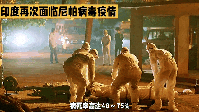 金日光教授:如何应对在印度爆发的尼帕病毒?(图1) 金日光教授:如何应对在印度爆发的尼帕病毒?(图1)