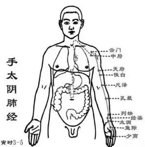 当代岐黄医理科学解读:基于黄金分割率的经络穴位拓扑结构研究(图2) 1.jpg