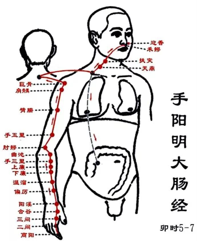 当代岐黄医理科学解读:基于黄金分割率的经络穴位拓扑结构研究(图3) 2.jpg