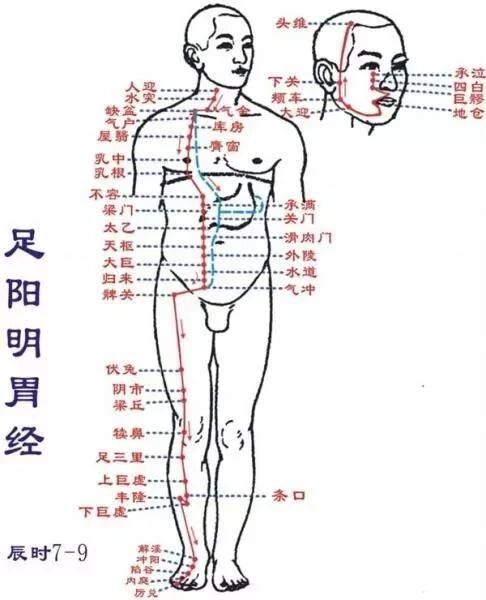 当代岐黄医理科学解读:基于黄金分割率的经络穴位拓扑结构研究(图4) 3.jpg