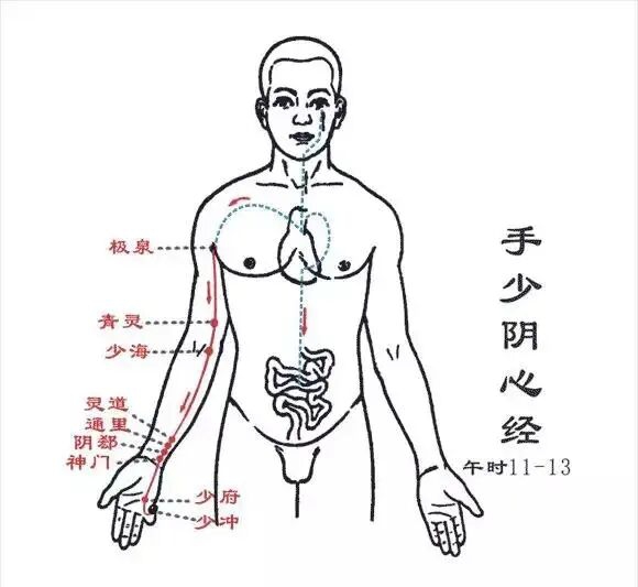当代岐黄医理科学解读:基于黄金分割率的经络穴位拓扑结构研究(图6) 5.jpg