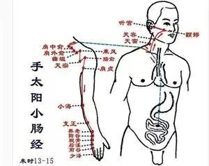 当代岐黄医理科学解读:基于黄金分割率的经络穴位拓扑结构研究(图7) 6.jpg