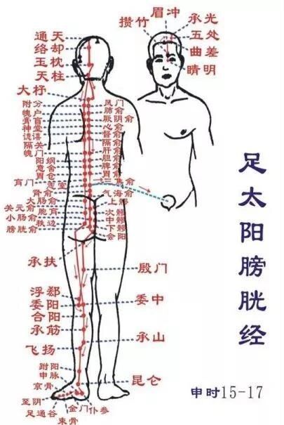 当代岐黄医理科学解读:基于黄金分割率的经络穴位拓扑结构研究(图8) 7.jpg