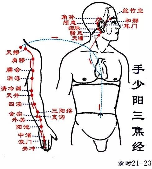 当代岐黄医理科学解读:基于黄金分割率的经络穴位拓扑结构研究(图11) a.jpg
