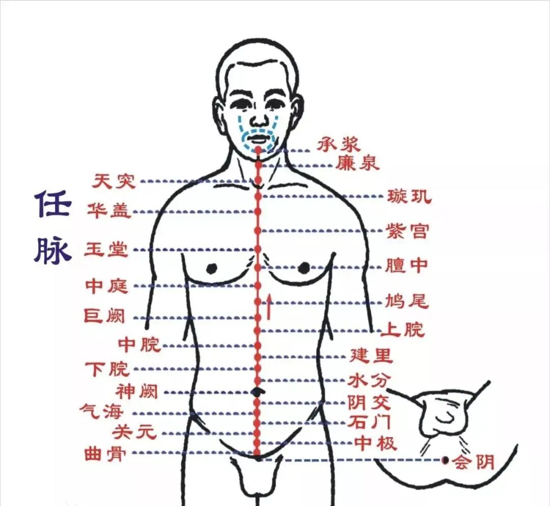 当代岐黄医理科学解读:基于黄金分割率的经络穴位拓扑结构研究(图15) e.jpg