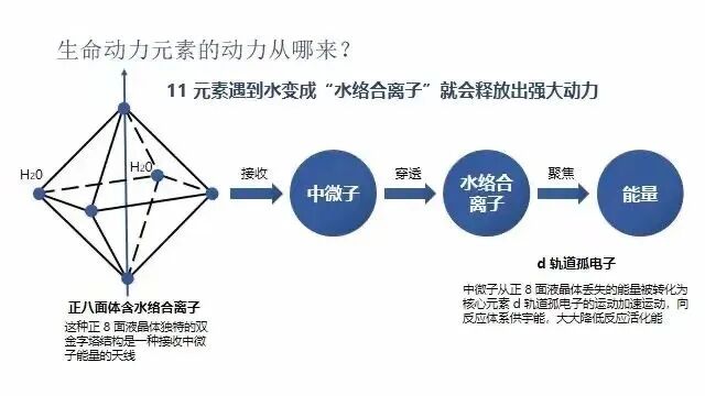 《内经》和《难经》里常说的“三个重大命题”是什么?(图4) 《内经》和《难经》里常说的“三个重大命题”是什么?(图4)