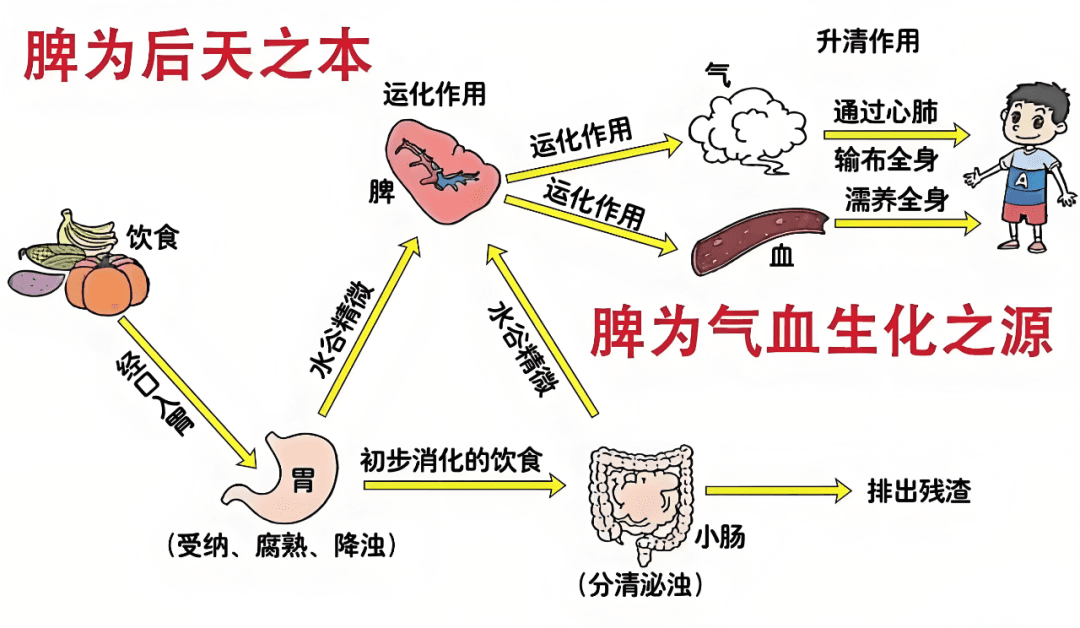 当代岐黄医理科学解读:为什么说农业是健康的第一道防线?(图2) 2.png