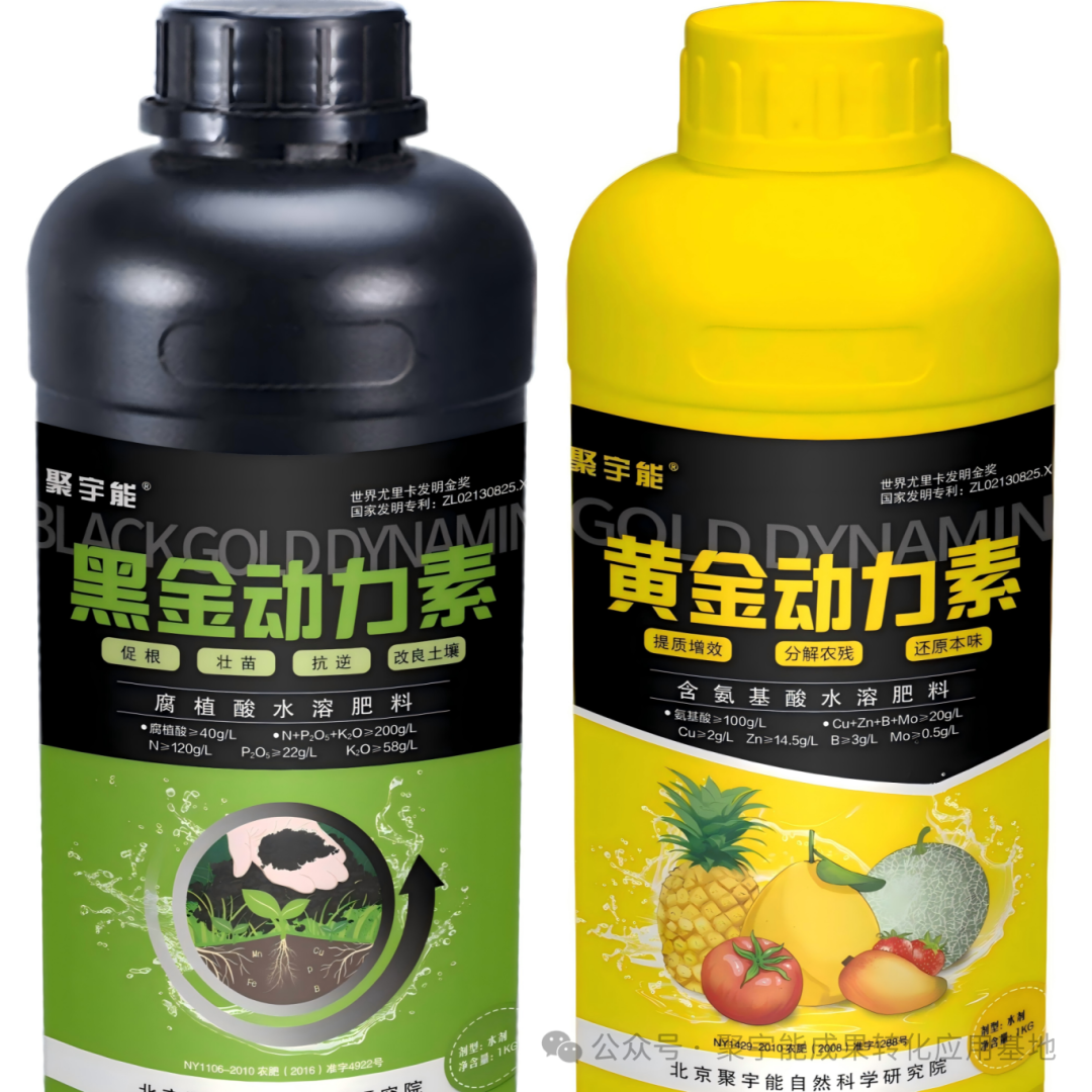 实测封神黄瓜用对“黑科技”,增产30%+还能种出有机富硒果!(图1) 实测封神黄瓜用对“黑科技”,增产30%+还能种出有机富硒果!(图1)