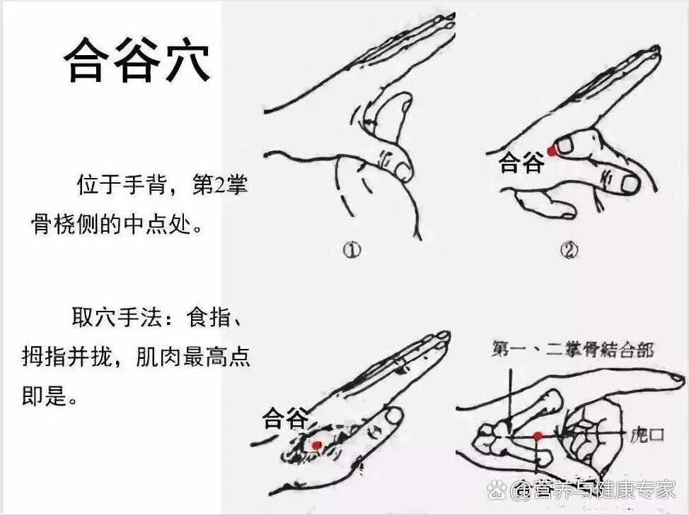 《312经络锻炼法》合乎岐黄长寿之道(图2) 3.jpg
