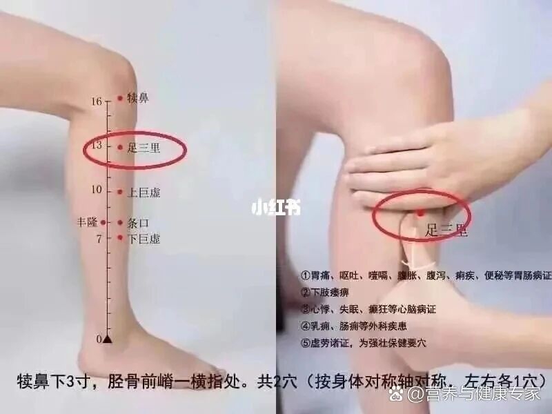 《312经络锻炼法》合乎岐黄长寿之道(图4) 5.jpg