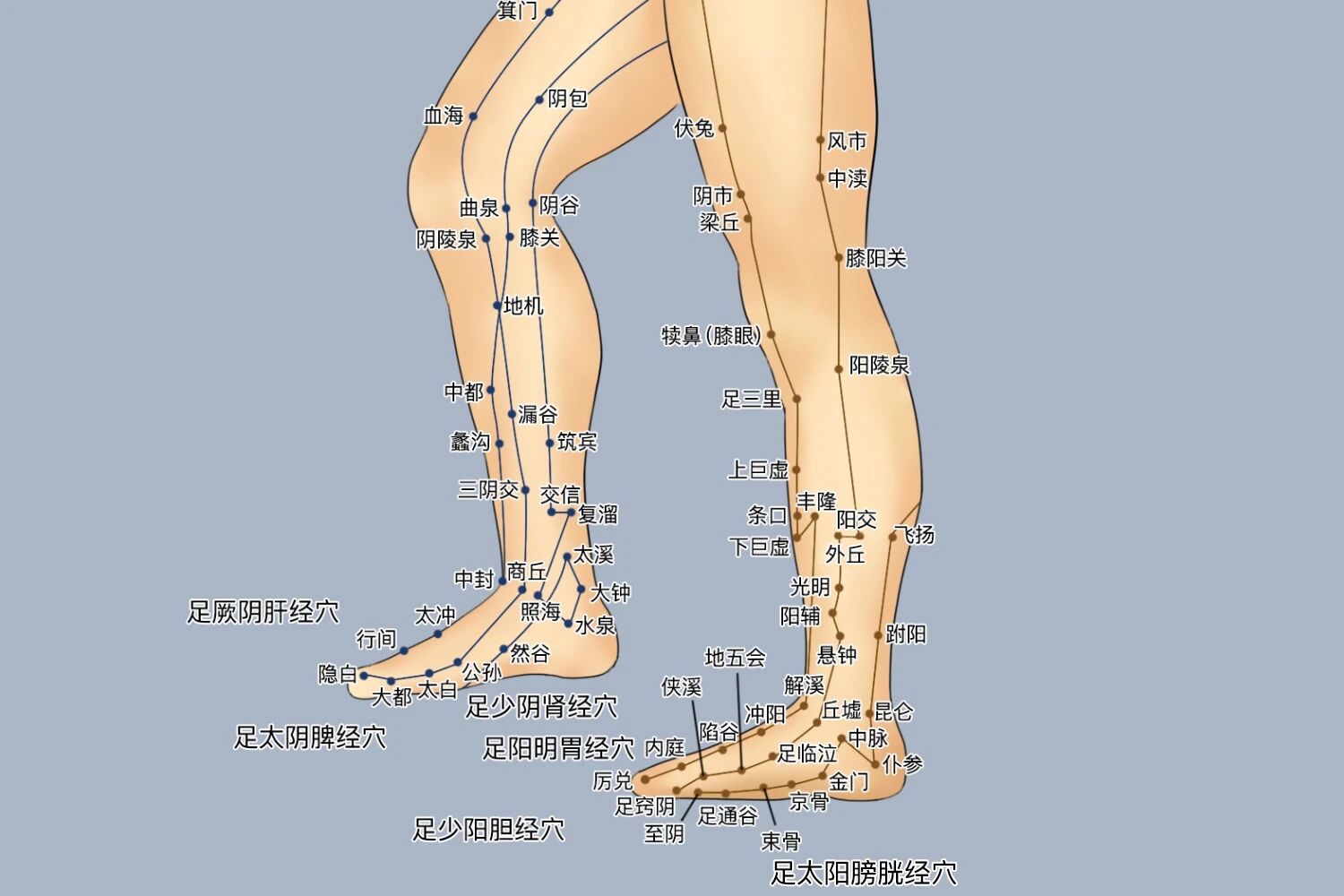 很奇怪,脚受了大伤,就说“心里怕得要命”而不说“脑袋怕得要命”,为什么?(图2) 2.jpg
