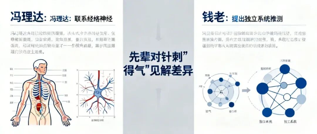 信手笔记（十）：针刺“得气”到底是什么？从d电子到神经经络，解锁中医针刺的科学密码(图1)