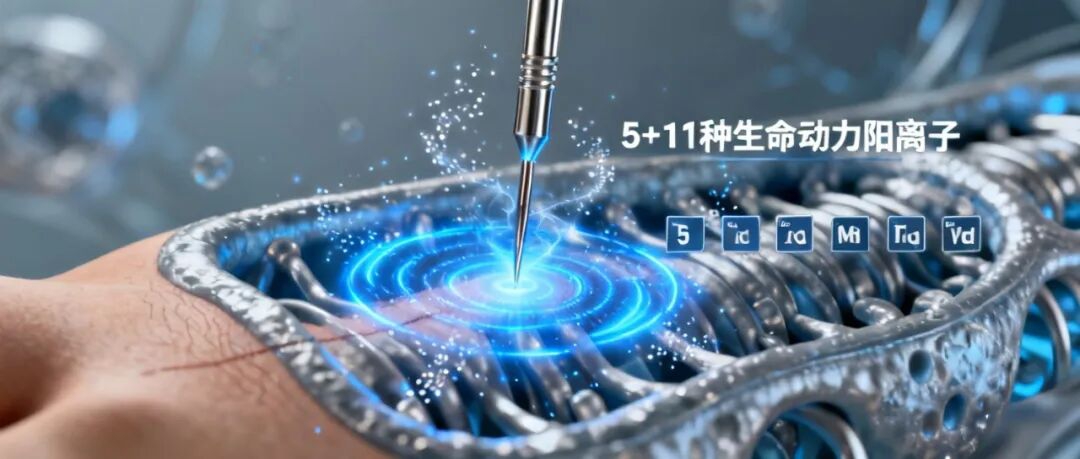 信手笔记(二十):岐黄医理的现代诠释:竖横针刺法与人体线粒体的电磁密码(图2) 2.jpg
