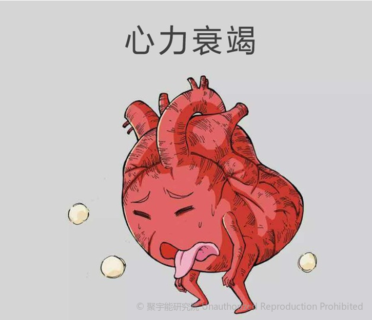 当代岐黄医理科学解读(二十三):心衰到了第四阶段,中医还能治吗?(图3) 1.png