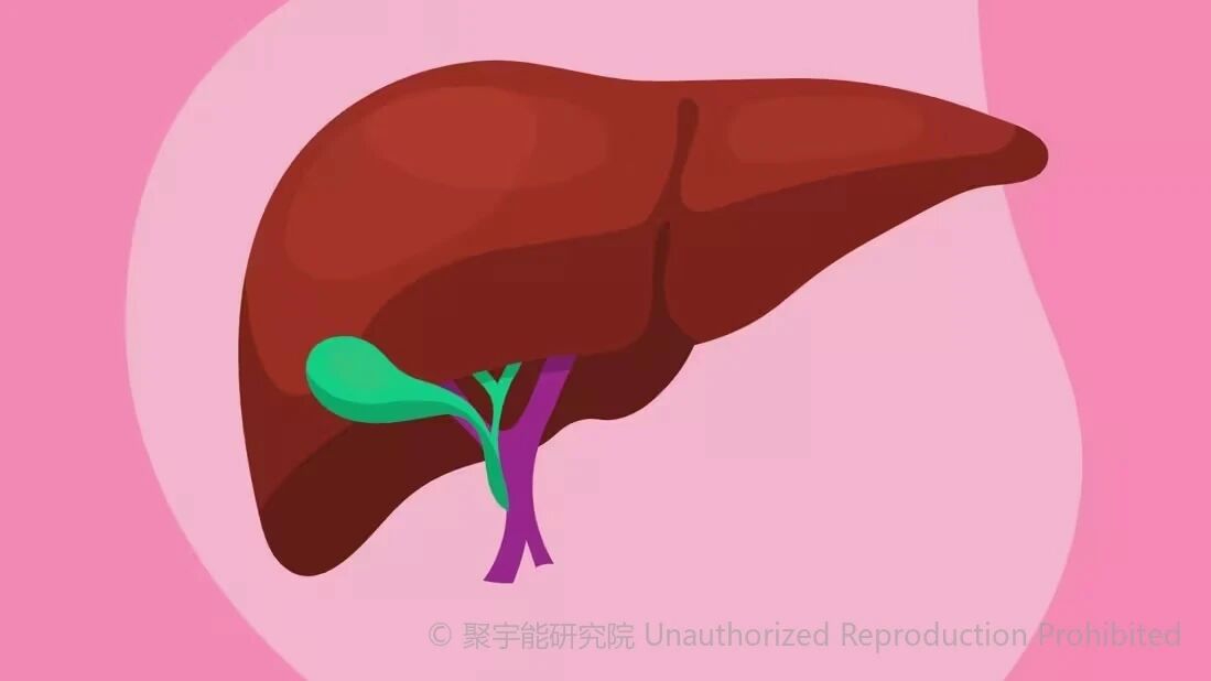 当代岐黄医理科学解读(二十六):心与肝的"生之本",藏在哪里?(图4) 2.jpg