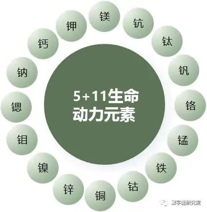 当代岐黄医理科学解读(二十八):为什么真正的中医越来越难当?(图14) 3.jpg