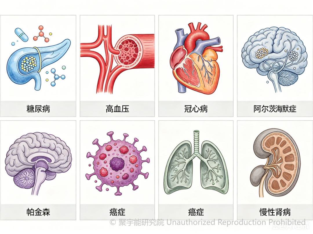 当代岐黄医理科学解读(三十三):被忽视的DNA损伤指标,为何如此关键?(图12) 当代岐黄医理科学解读(三十三):被忽视的DNA损伤指标,为何如此关键?(图12)