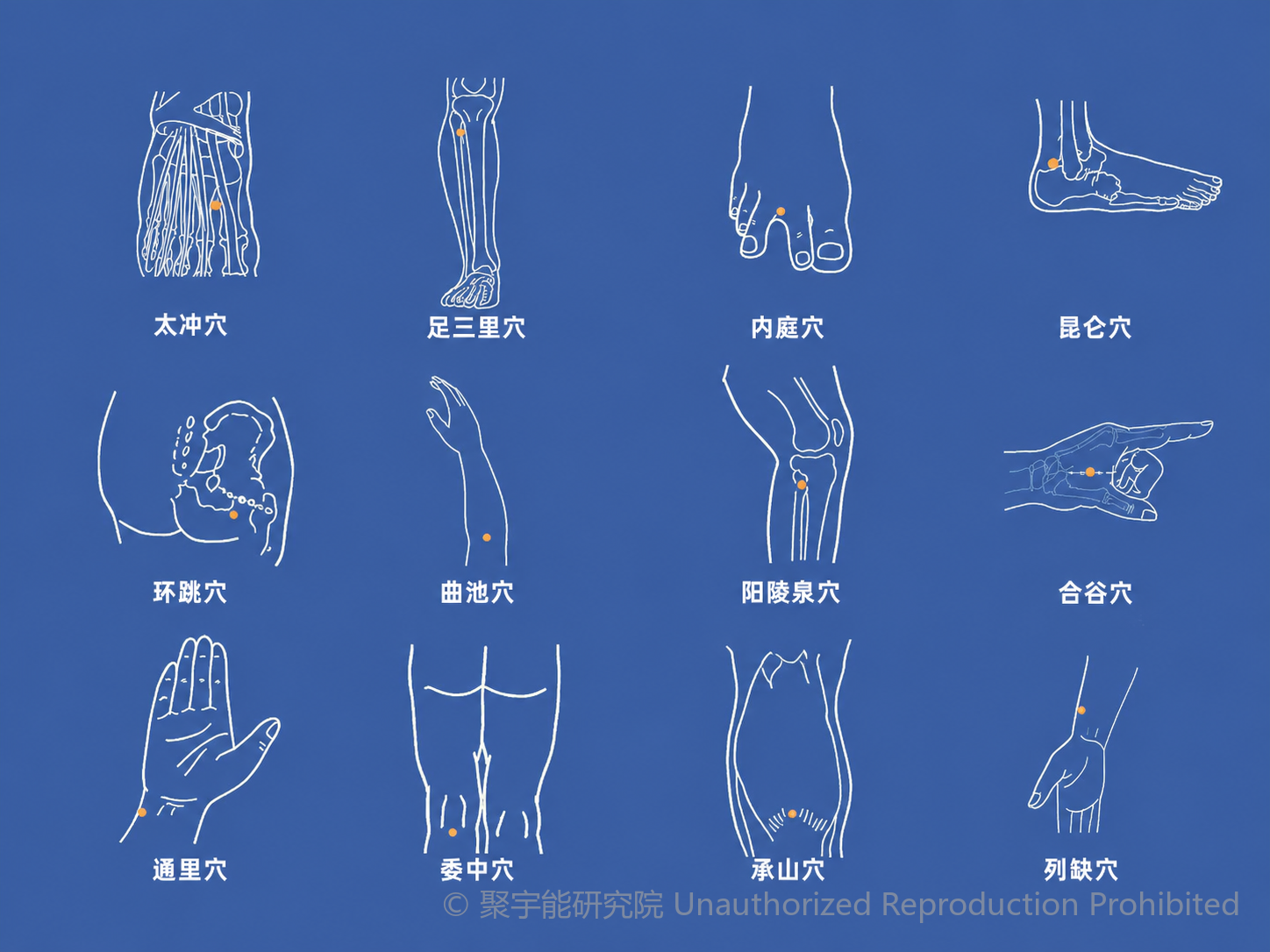 当代岐黄医理科学解读(三十九):天星十二穴缘何一直“不温不火”?(图4) 2.png
