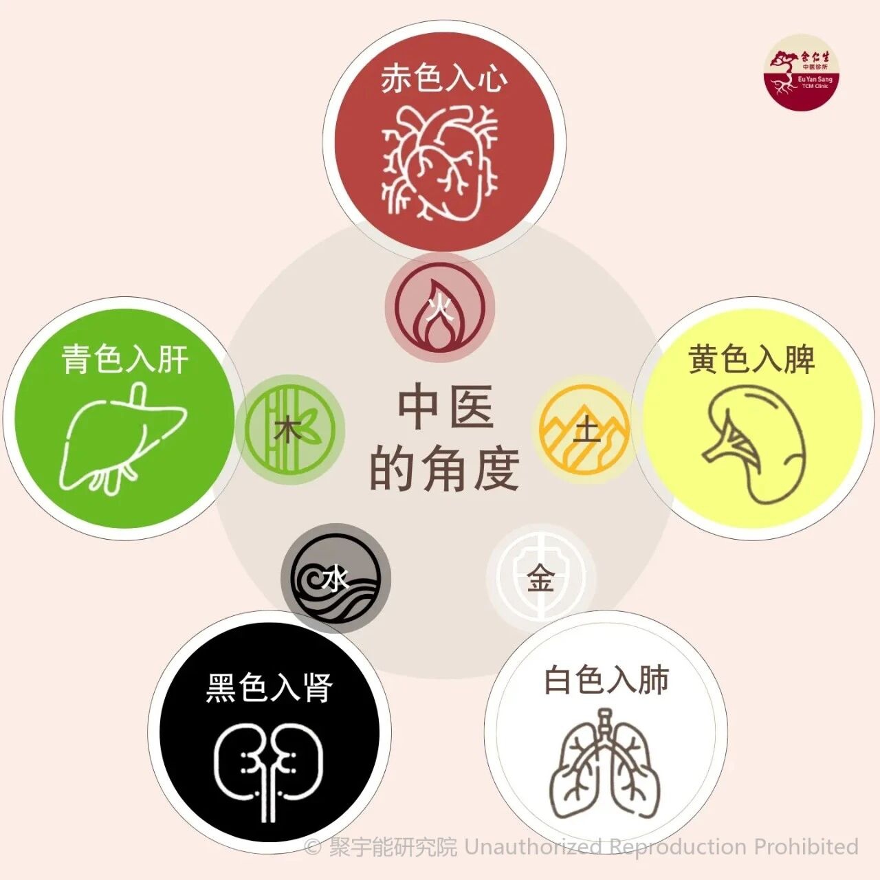 当代岐黄医理科学解读(四十九):皮肤是长寿的“镜子”吗?(图2) 微信图片_20260829122416_29_1212.jpg